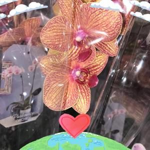 Meet your Posher, Reva